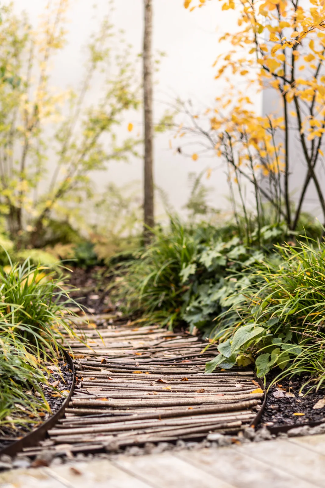 Path of wooden log slices between plants in a green courtyard – “Queen Catherine's Spring” ritual