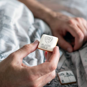 Karališkas Vilnius, Meduoliai, Meduolių namai, 06